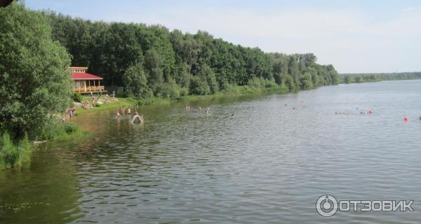 Загородный клуб Медвежьи озера (Россия, Московская область) фото