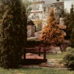 Санаторий "Аквамарин" (Россия, Витязево) фото