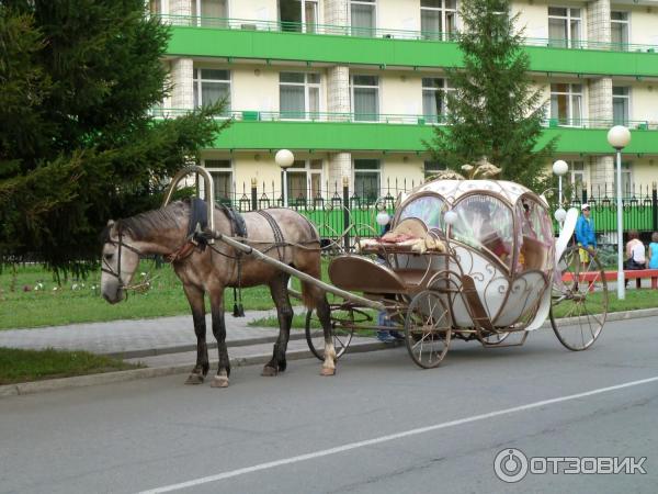 Санаторий Алтай West (Россия, Белокуриха) фото