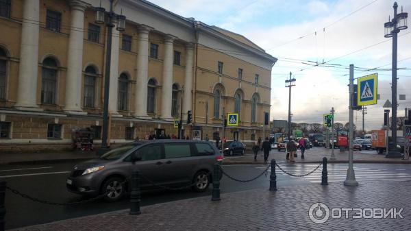 Зоологический музей (Россия, Санкт-Петербург) фото