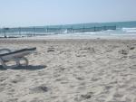 Отель Lou'lou'a Beach Resort Sharjah (ОАЭ, Шарджа) фото