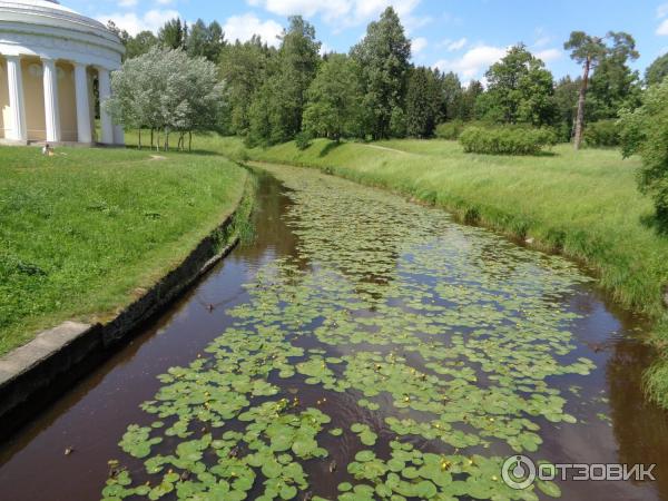 Музей-заповедник Павловск (Россия, Санкт-Петербург) фото