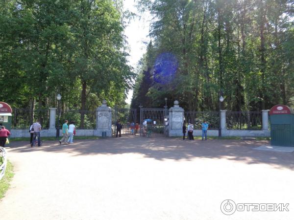 Музей-заповедник Павловск (Россия, Санкт-Петербург) фото