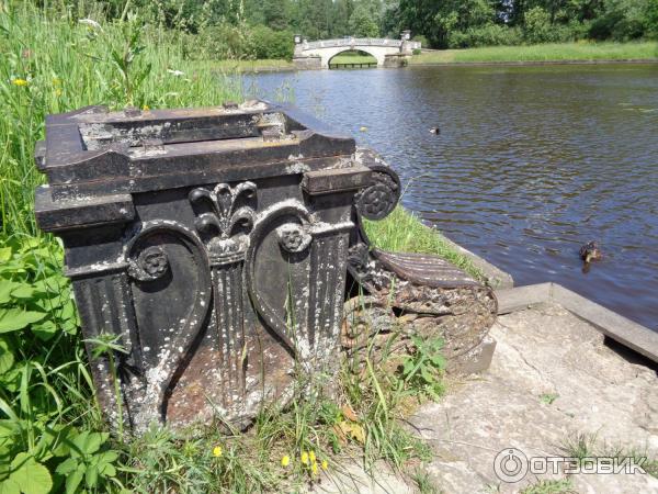 Музей-заповедник Павловск (Россия, Санкт-Петербург) фото