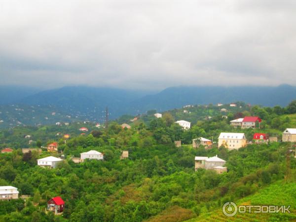 Канатная дорога Арго (Грузия, Батуми) фото