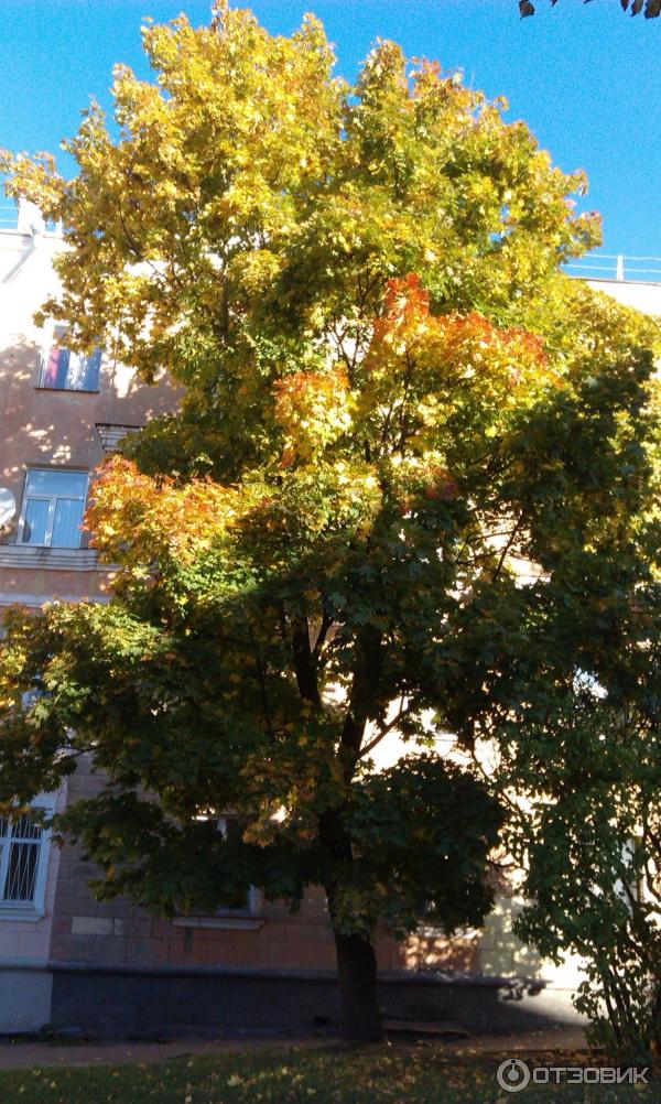 Город Псков