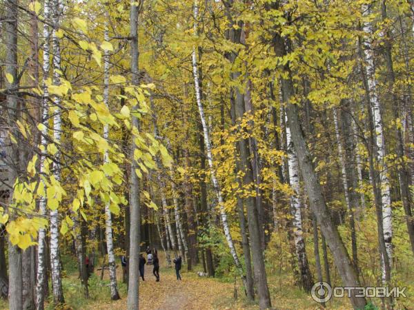 Экспозиция работ Владимира Волкова (Россия, Иваново) фото