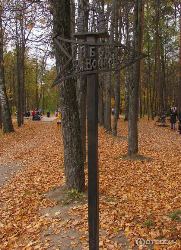 Экспозиция работ Владимира Волкова (Россия, Иваново) фото