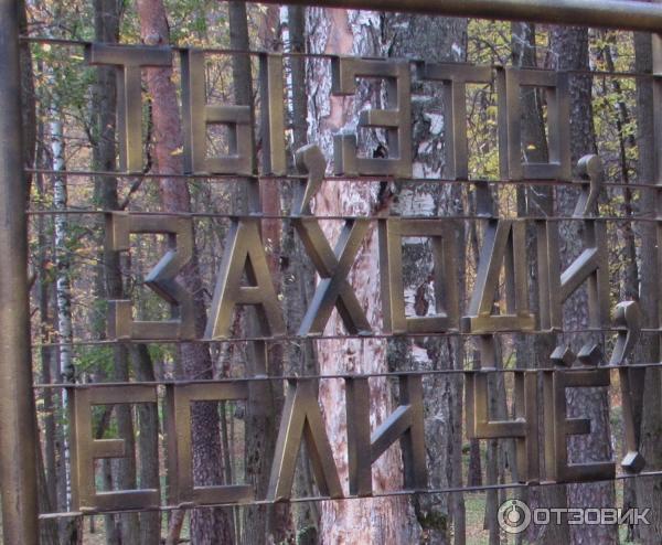 Экспозиция работ Владимира Волкова (Россия, Иваново) фото