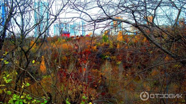 Смотровая площадка с бинокуляром у планетария (Россия, Пермь) фото