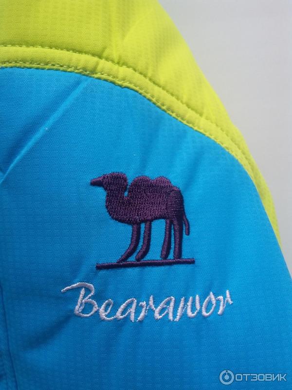 Лыжный детский костюм Bearawor фото