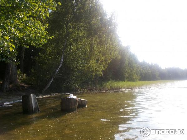 Вот как сейчас отдыхают на Свитязи