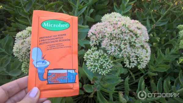 Microbec Ultra (Микробек Ультра) средство для септиков, выгребных ям и дачных туалетов фото