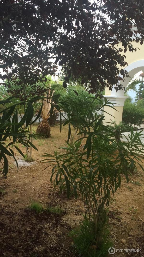 Корфу