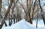 Сквер молодоженов (Россия, Омск) фото