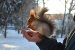 Сквер молодоженов (Россия, Омск) фото