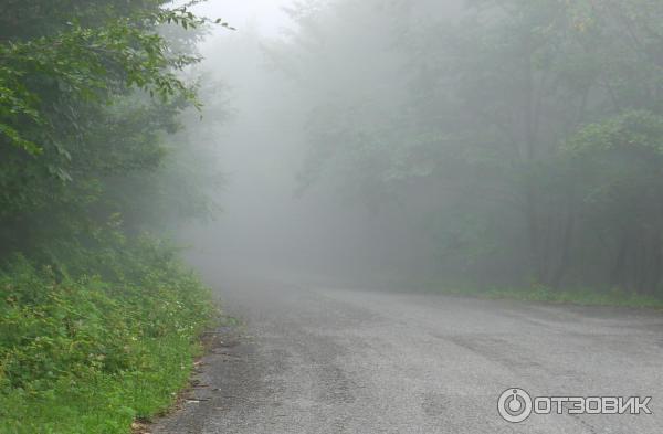 Экскурсия на гору Мамзышха (Абхазия, Гагры) фото