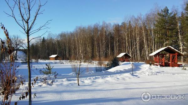 Парк-отель Фестиваль (Россия, Рязанская область) фото