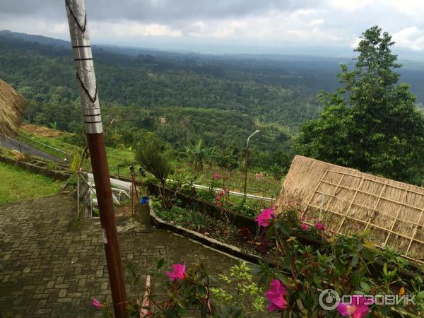 Клубничная ферма Bali Strawberry Farm and resting area (Индонезия, Бали) фото