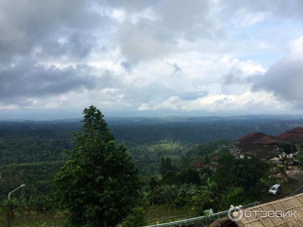 Клубничная ферма Bali Strawberry Farm and resting area (Индонезия, Бали) фото