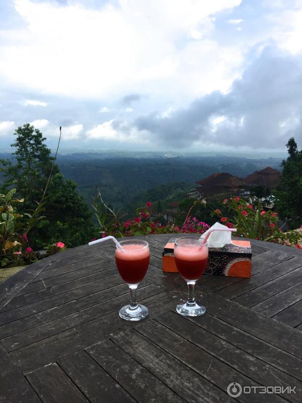 Клубничная ферма Bali Strawberry Farm and resting area (Индонезия, Бали) фото