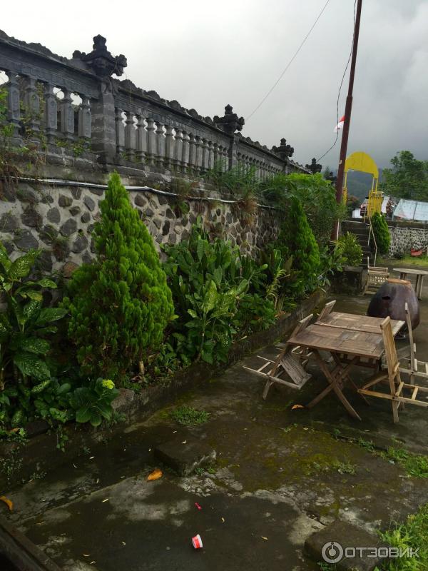 Клубничная ферма Bali Strawberry Farm and resting area (Индонезия, Бали) фото