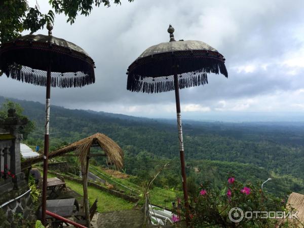 Клубничная ферма Bali Strawberry Farm and resting area (Индонезия, Бали) фото