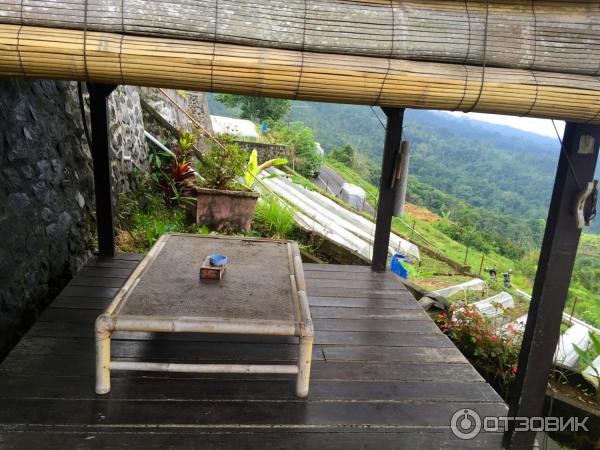 Клубничная ферма Bali Strawberry Farm and resting area (Индонезия, Бали) фото