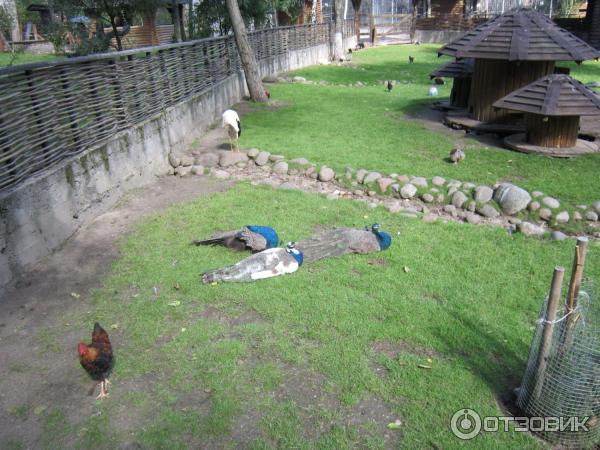 Агротуристический комплекс Коробчицы (Беларусь, Гродненская область) фото