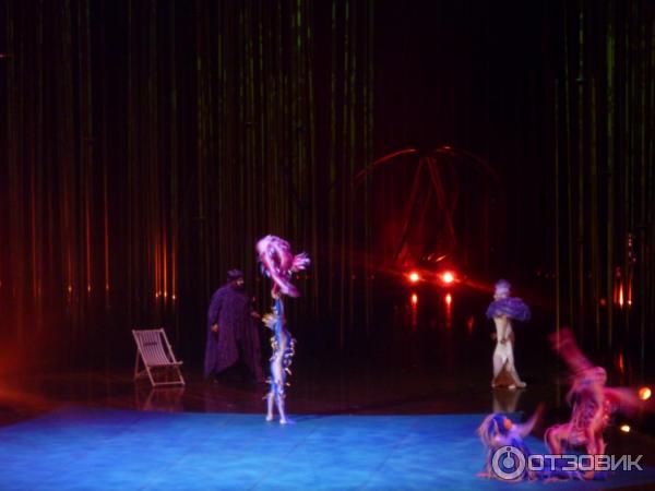 Цирковое шоу Varekai Cirque Du Soleil (Россия, Москва) фото