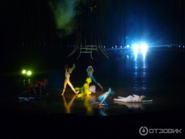 Цирковое шоу Varekai Cirque Du Soleil (Россия, Москва) фото