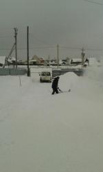 Снегоуборщик AL-KO Snow Line 46 Е фото