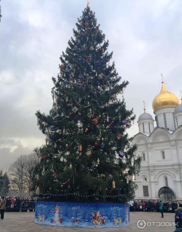 Новогодняя елка в Кремле (Россия, Москва) фото