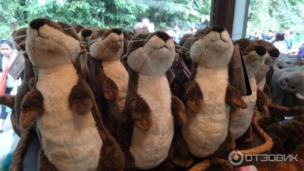 Сингапурский зоопарк (Сингапур) фото