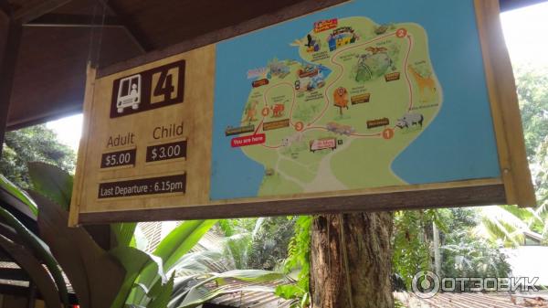 Сингапурский зоопарк (Сингапур) фото