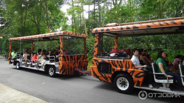 Сингапурский зоопарк (Сингапур) фото