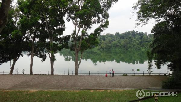 Сингапурский зоопарк (Сингапур) фото