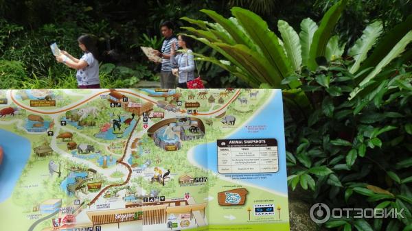 Сингапурский зоопарк (Сингапур) фото