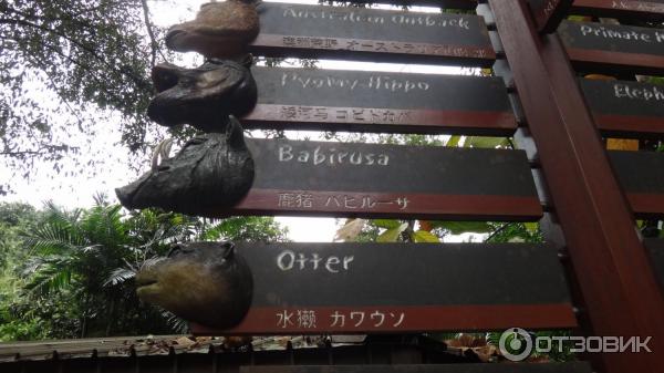 Сингапурский зоопарк (Сингапур) фото