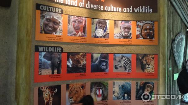 Сингапурский зоопарк (Сингапур) фото