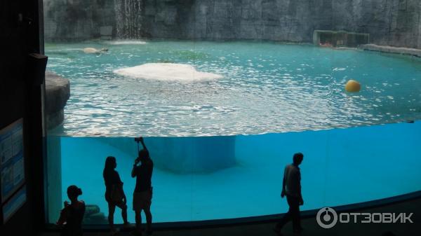 Сингапурский зоопарк (Сингапур) фото