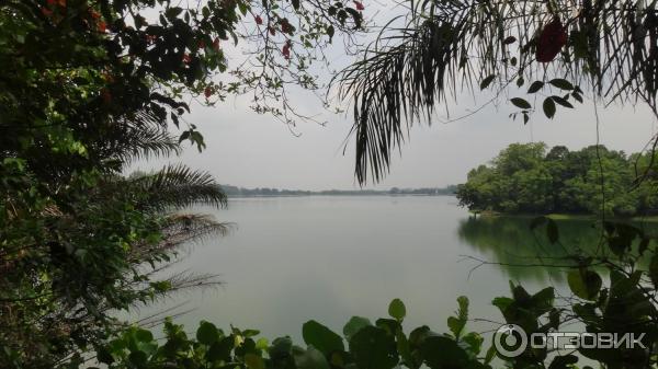 Сингапурский зоопарк (Сингапур) фото