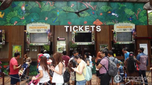 Сингапурский зоопарк (Сингапур) фото