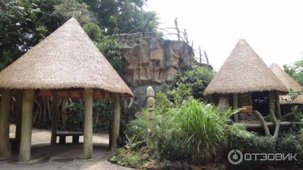 Сингапурский зоопарк (Сингапур) фото