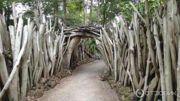 Сингапурский зоопарк (Сингапур) фото