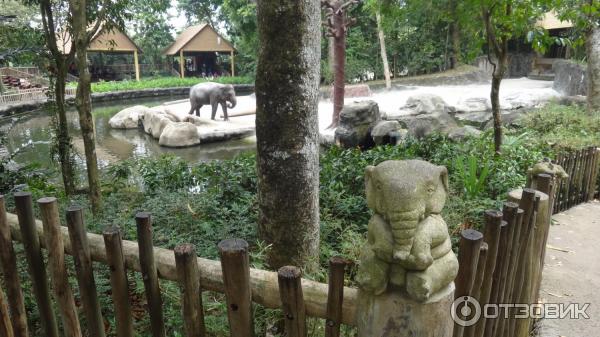 Сингапурский зоопарк (Сингапур) фото