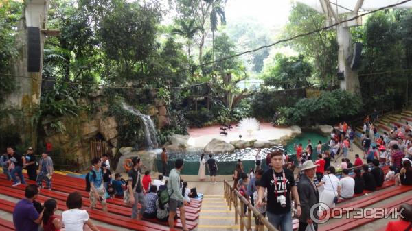 Сингапурский зоопарк (Сингапур) фото