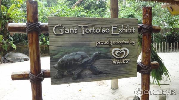 Сингапурский зоопарк (Сингапур) фото