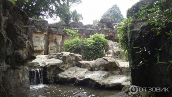 Сингапурский зоопарк (Сингапур) фото