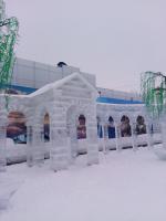 Ледовый городок (Россия, Новосибирск) фото